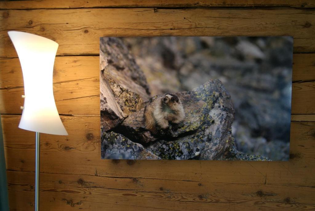 Boutique Hotel The River House Andermatt Rum bild